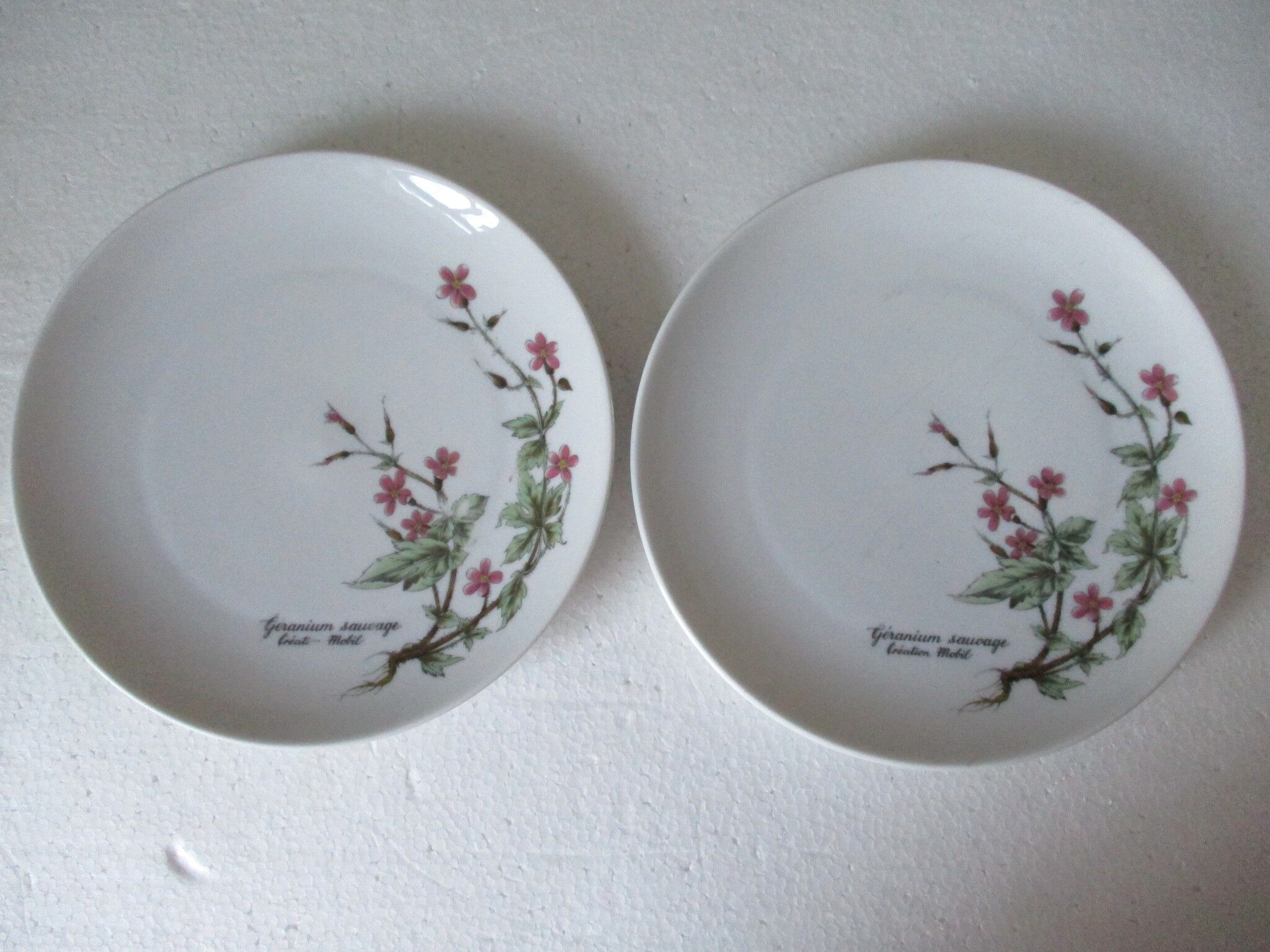 Fine porcelain dessert plates from Bavaria -botaniqu