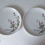 Assiettes à dessert porcelaine fine  de Bavière -botaniqu