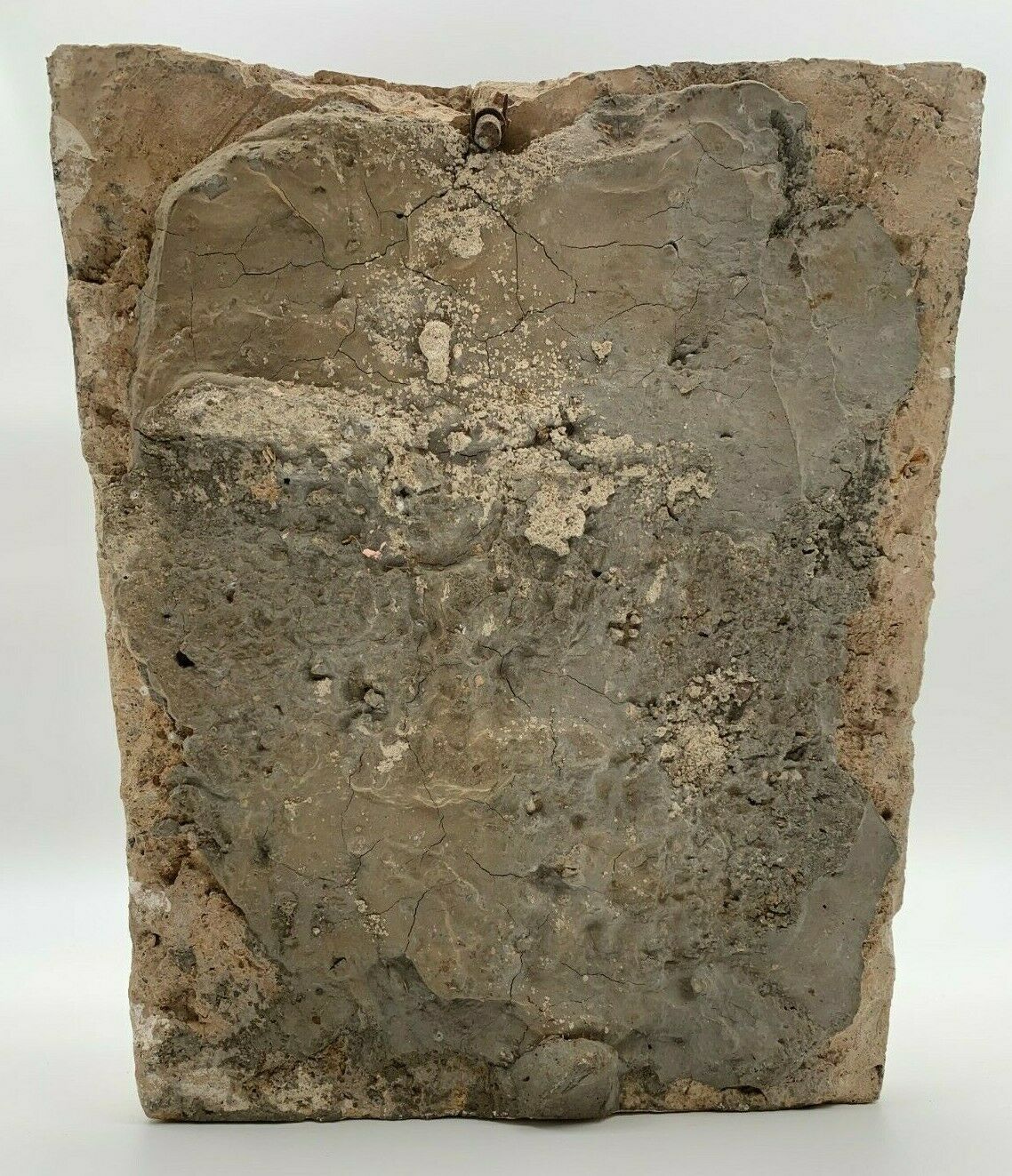 STONE SHELL 19TH PATINA OF ORIGIN SCULPTURE