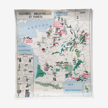 Ancienne affiche scolaire MDI : France « Cultures industrielles et forêts » / Garonne