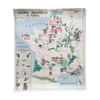 Ancienne affiche scolaire MDI : France « Cultures industrielles et forêts » / Garonne