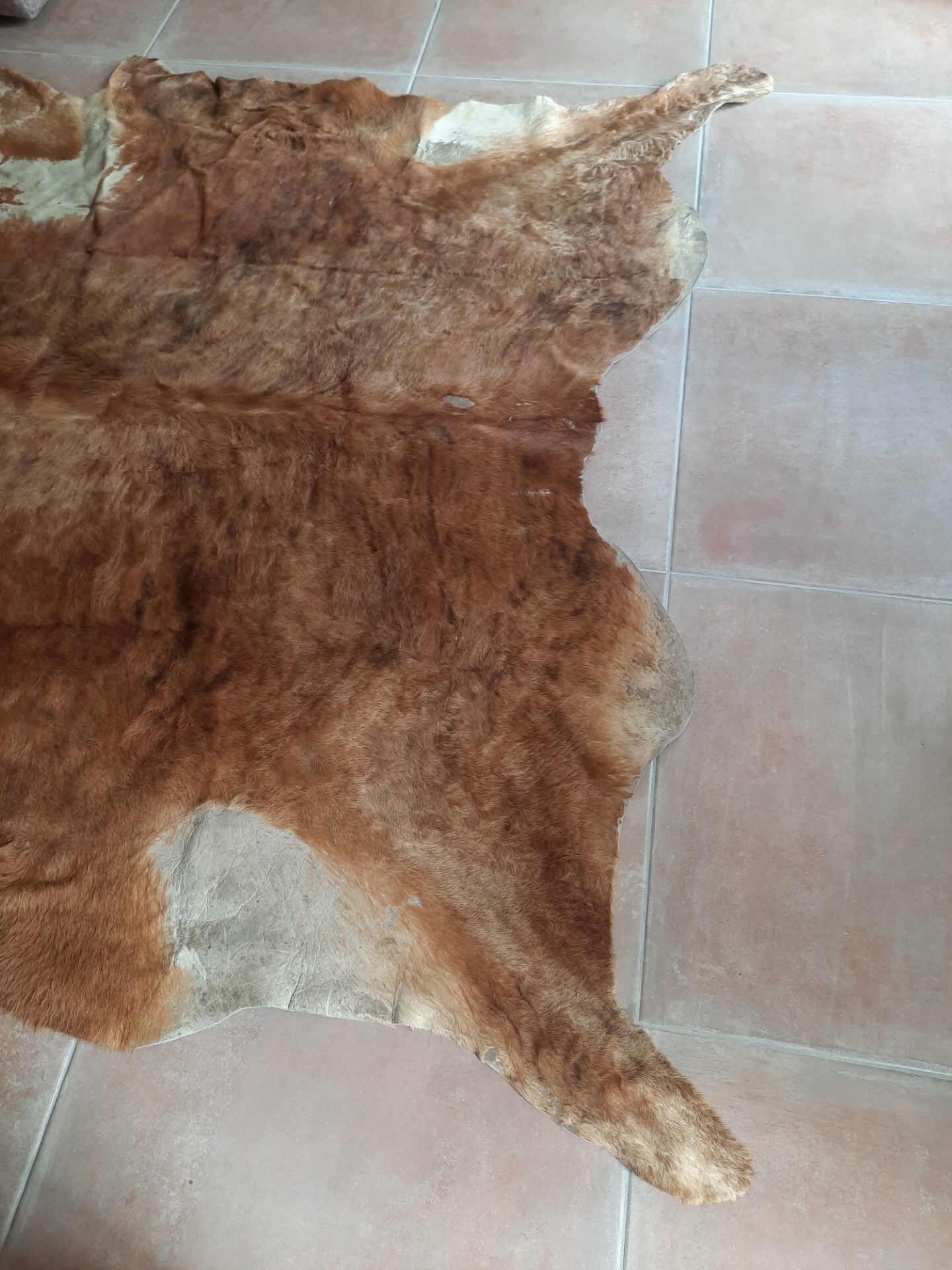 Cowhide carpet 230/190