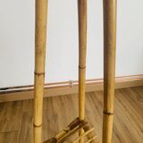 Rattan harness