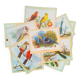 lot of zoological posters, birds, 60s