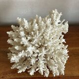 White coral bouquet