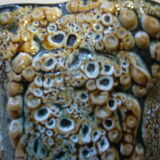 Ceramic pitcher wash 1960