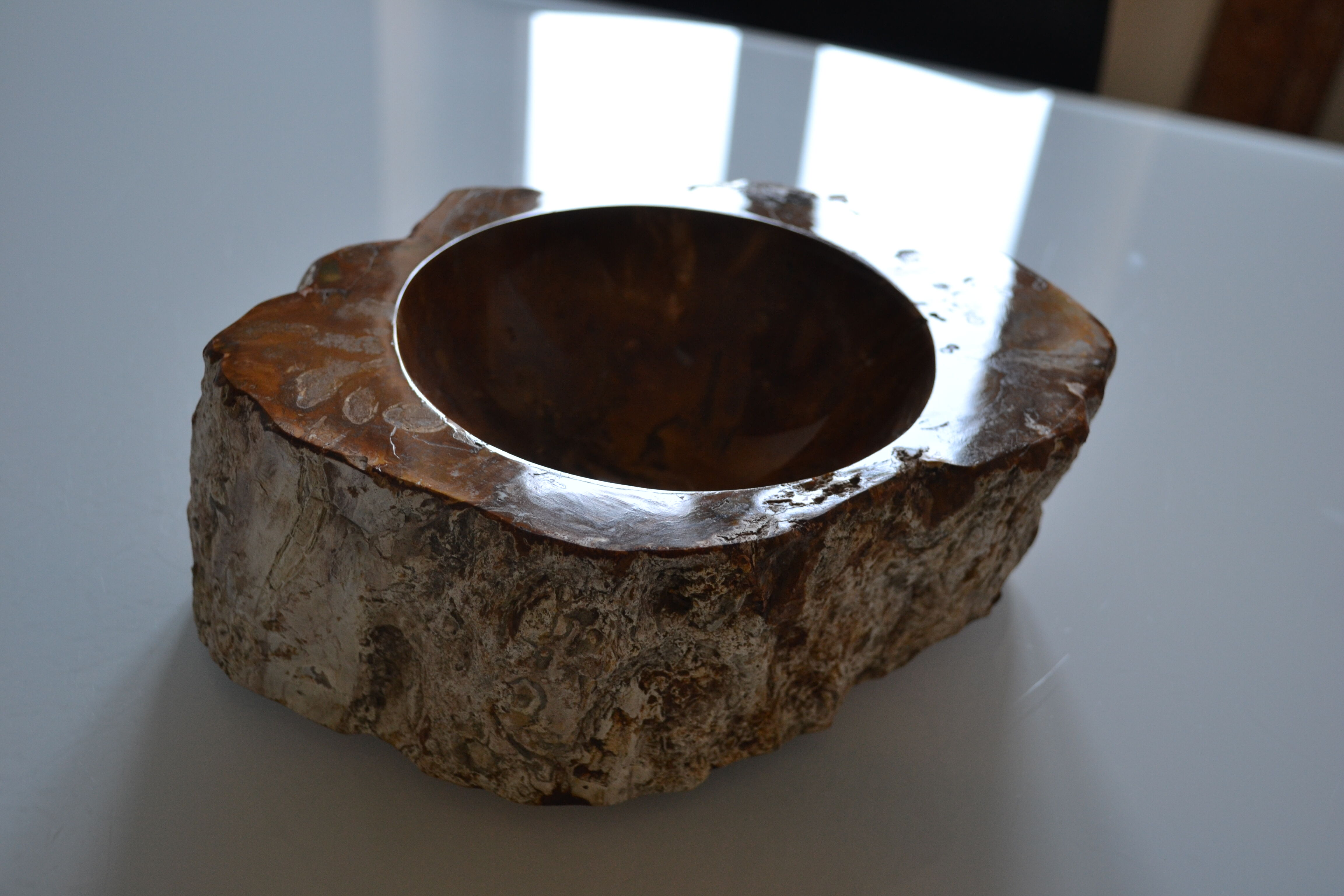 Empty pocket or ashtray in fossilized wood