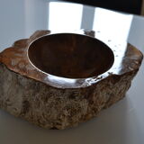 Empty pocket or ashtray in fossilized wood