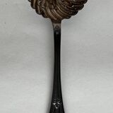 Small sprinkling spoon