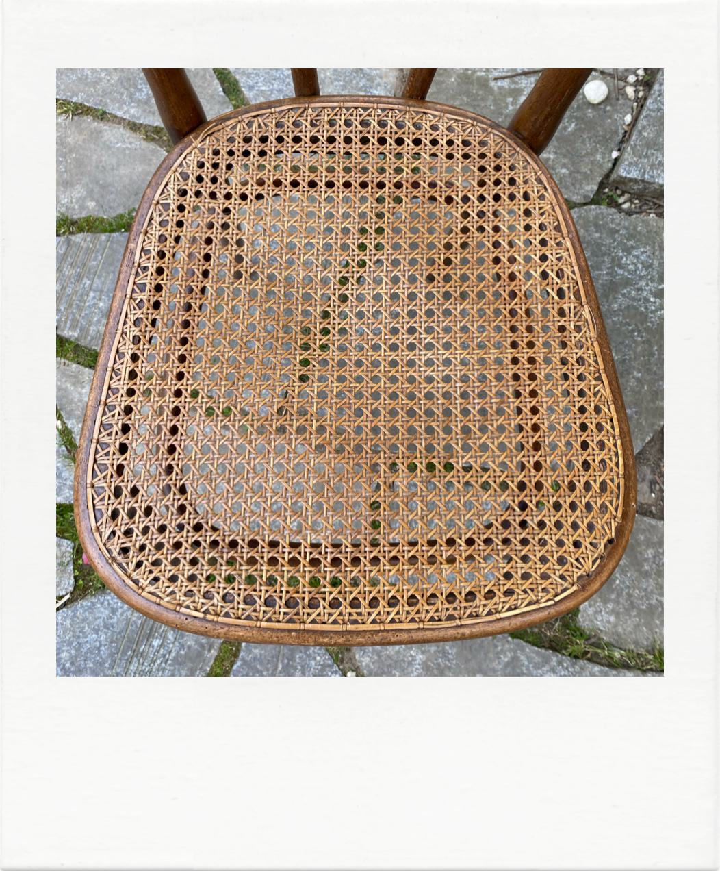 Duo of chairs Thonet bistro