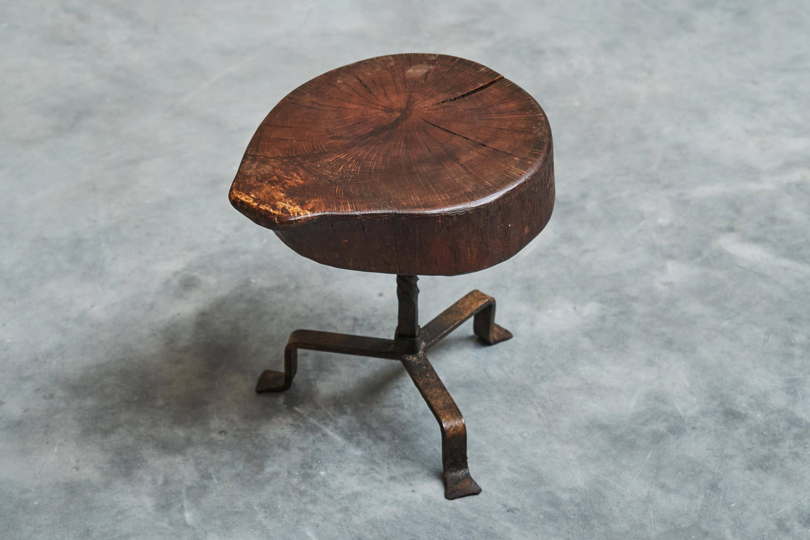 Tree Stump Stool or Solid Wood and Wrought Iron Side Table, Mid-Century