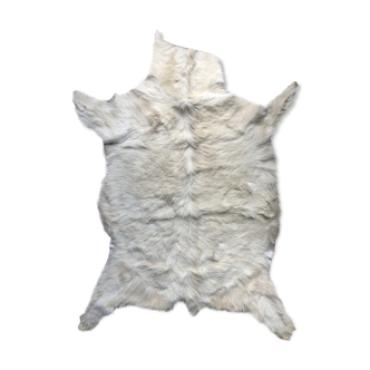 Cream-coloured goatskin