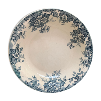 Dish