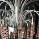 Paolo Venini waterfall chandelier