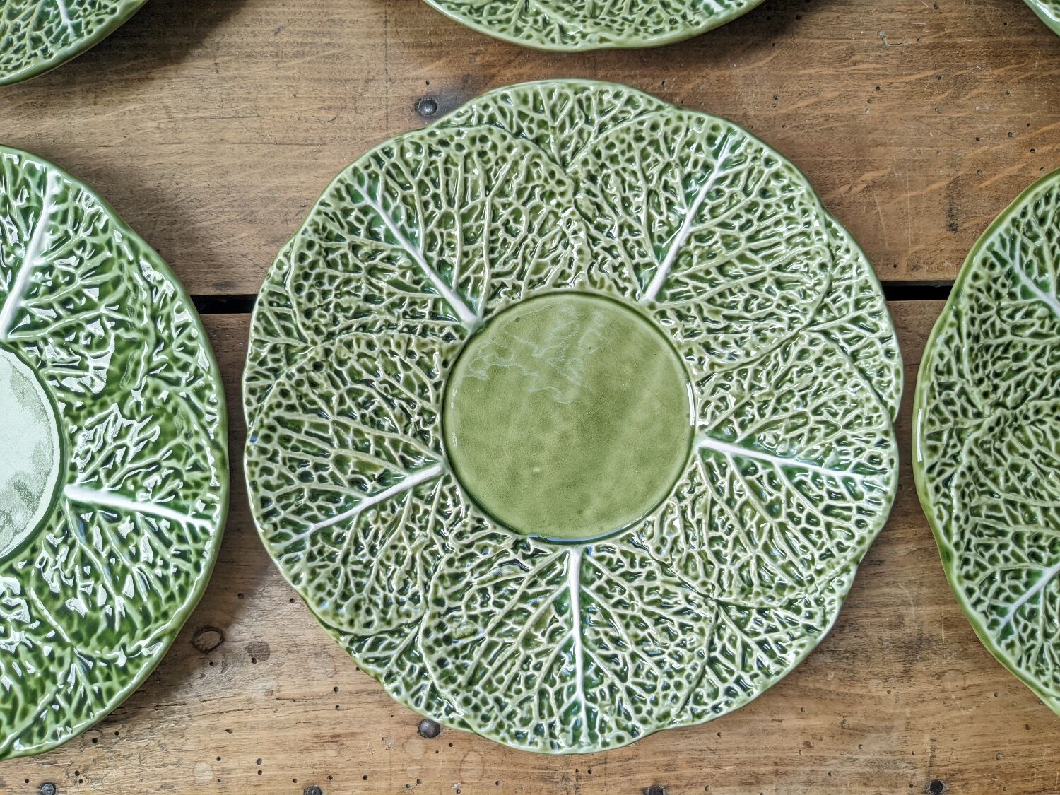 6 cabbage plates