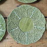 6 cabbage plates