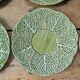6 cabbage plates
