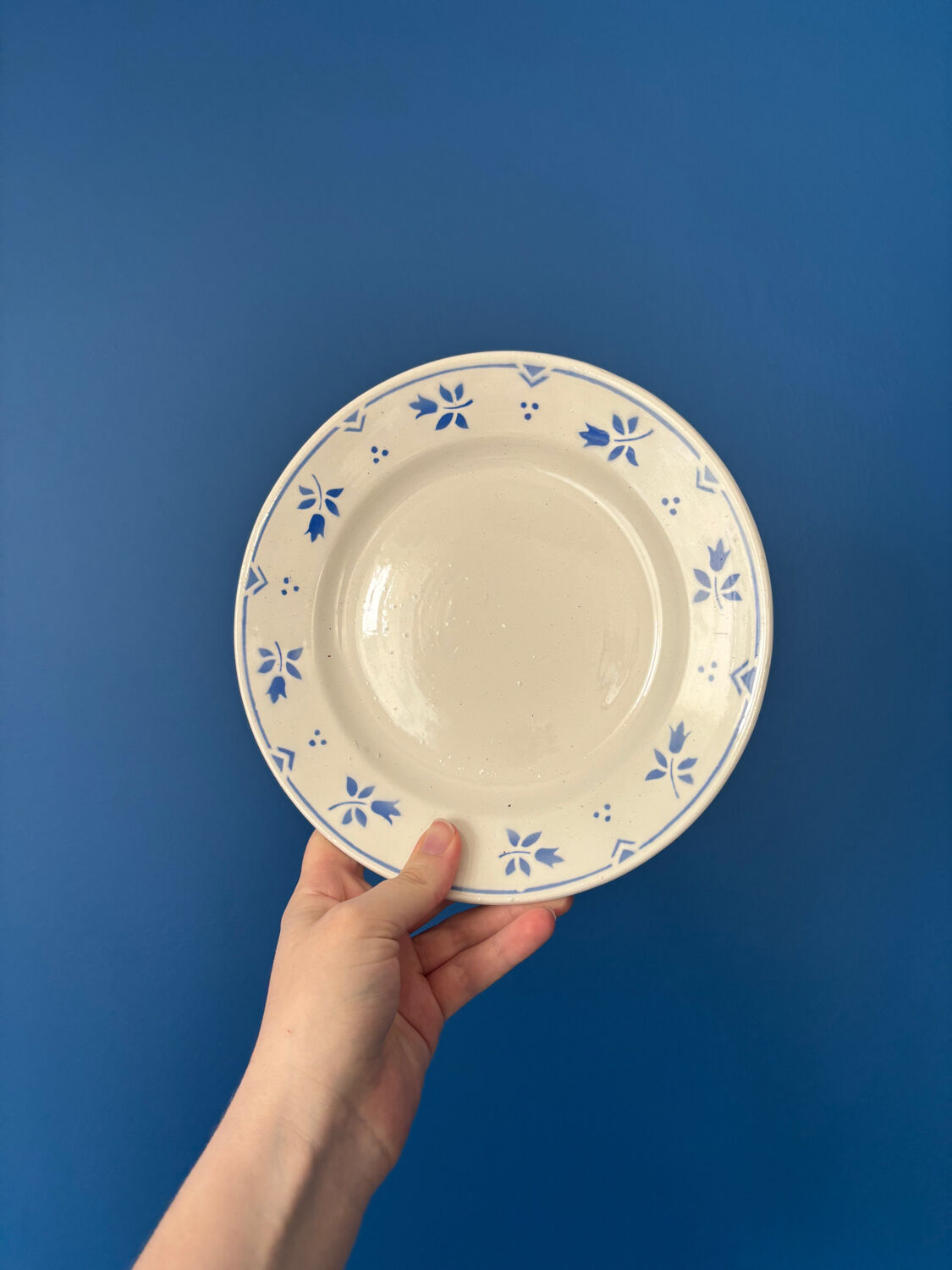 Set of 6 vintage dessert plates Sarreguemines Digoin model Camil