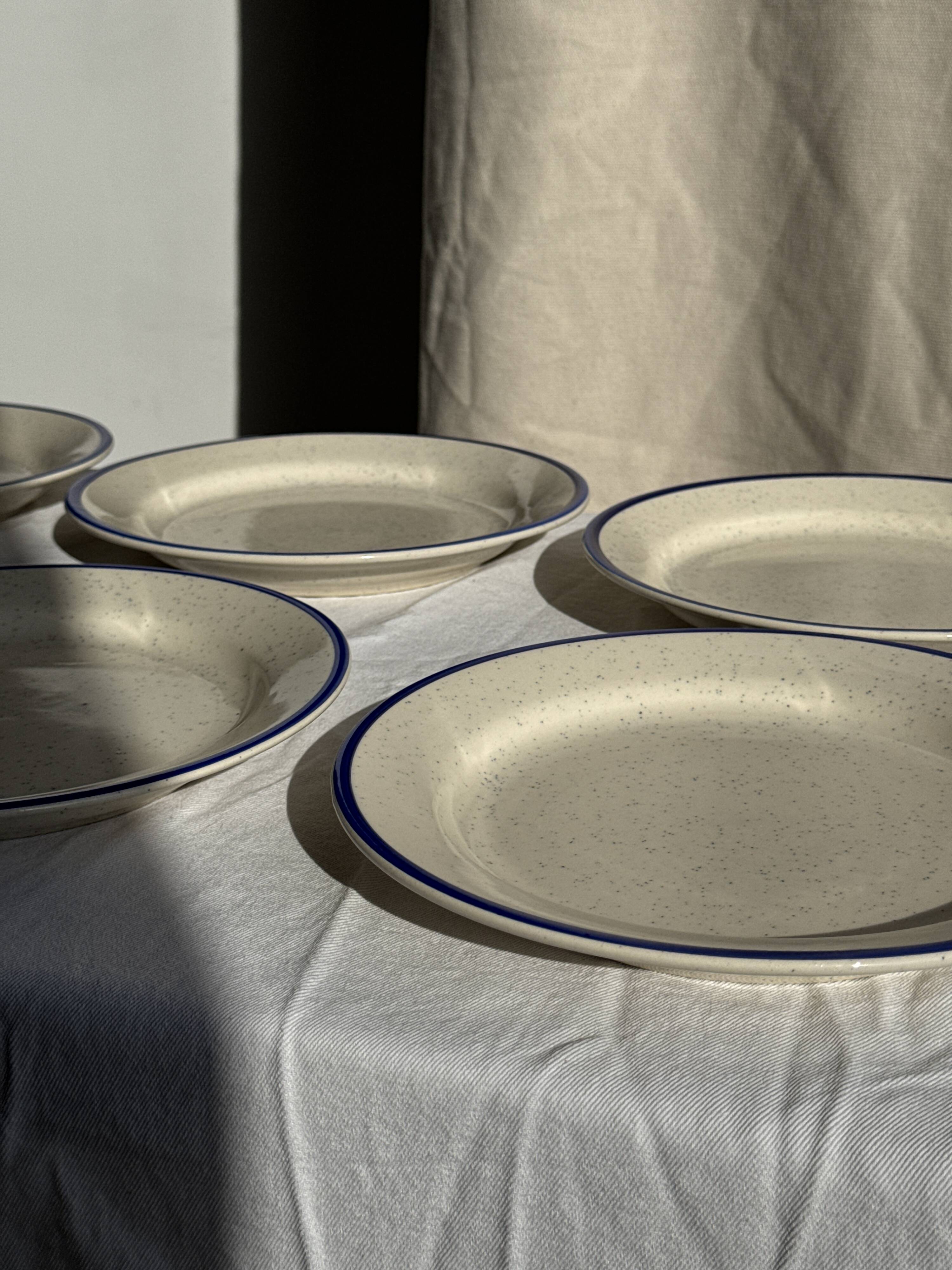 Set consisting of 6 beige flat plates with a blue rim + 3 deep plates.
