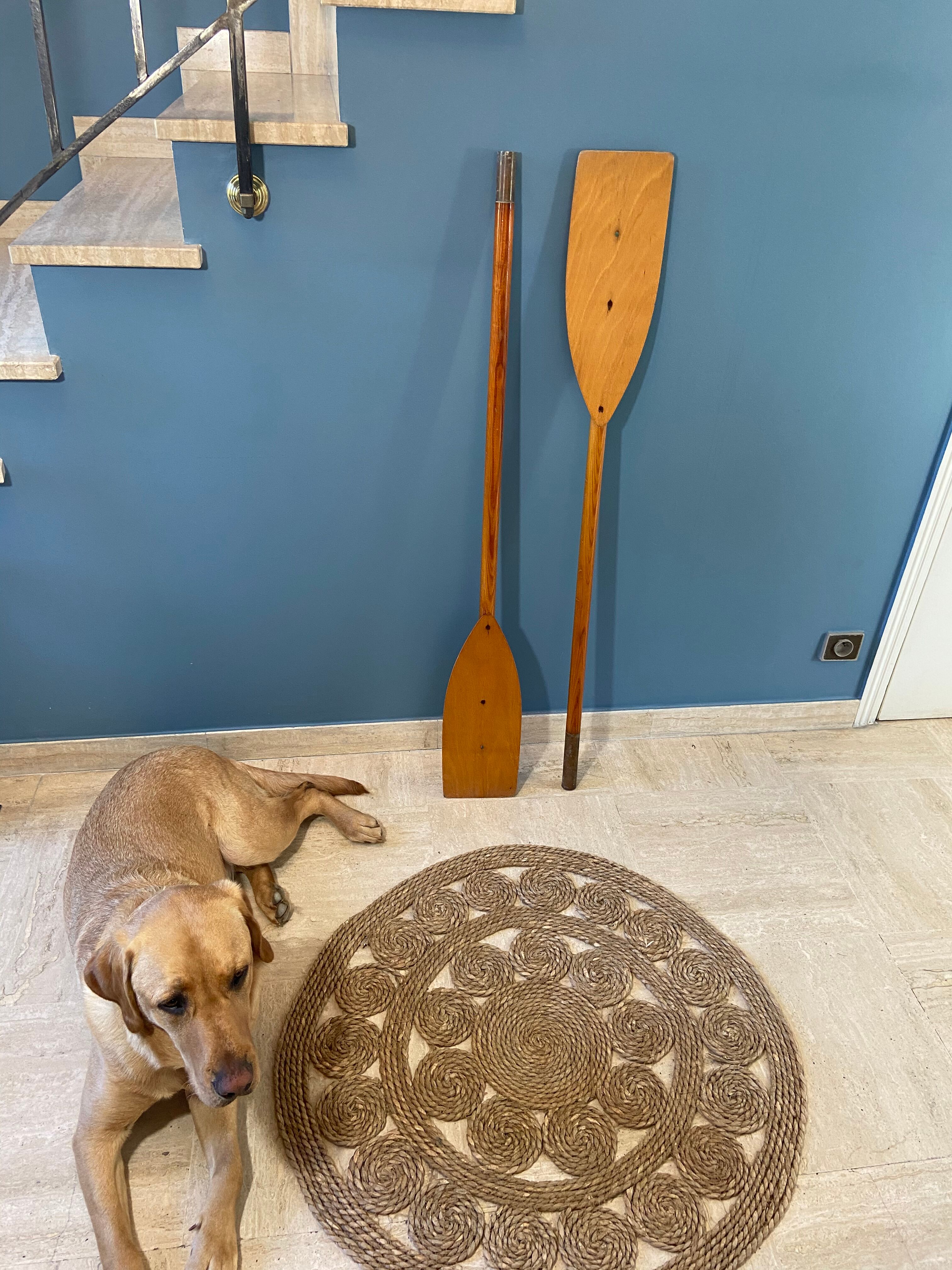 Paddle or vintage oars 1970