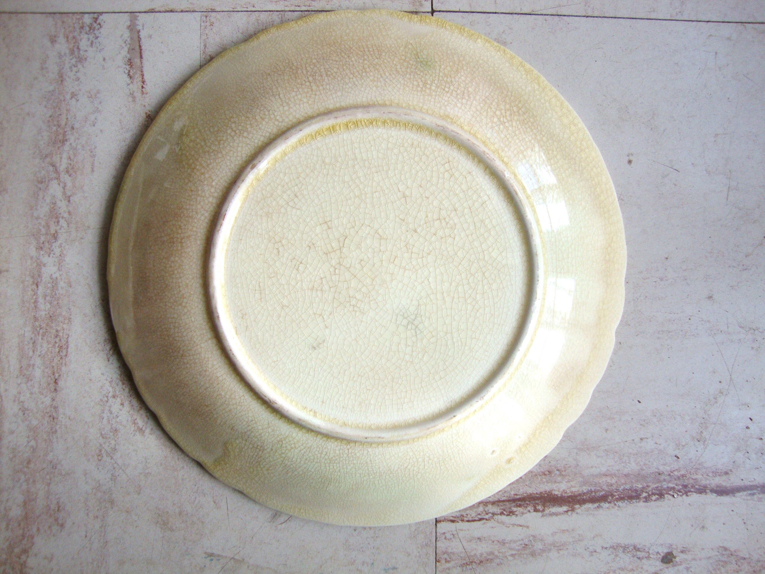 6 plates in slip decoration of roses earthenware of Onnaing