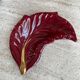 Dull leaf Vallauris red burgundy