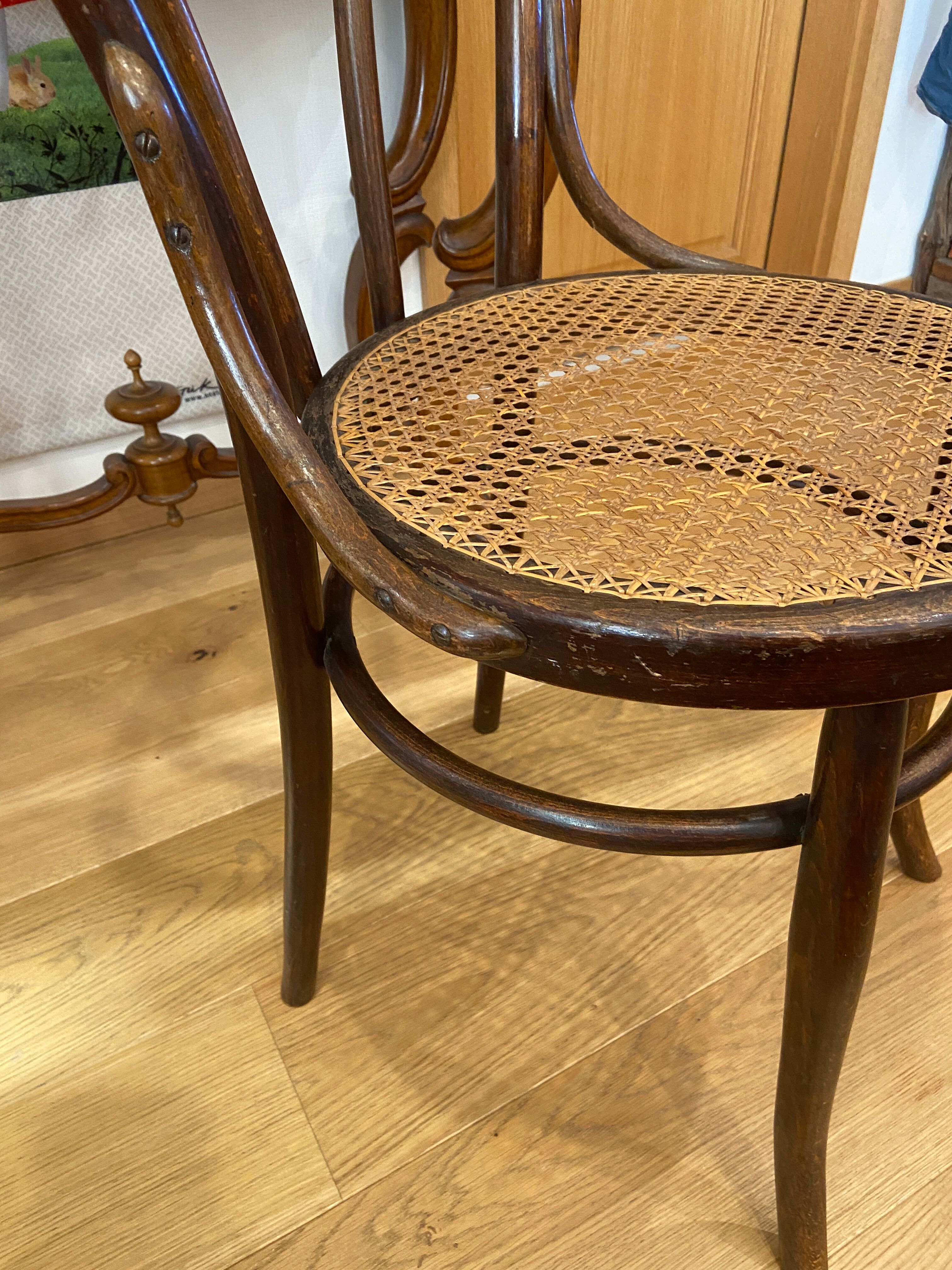 Mundus 1900 curved wooden chair Mundus