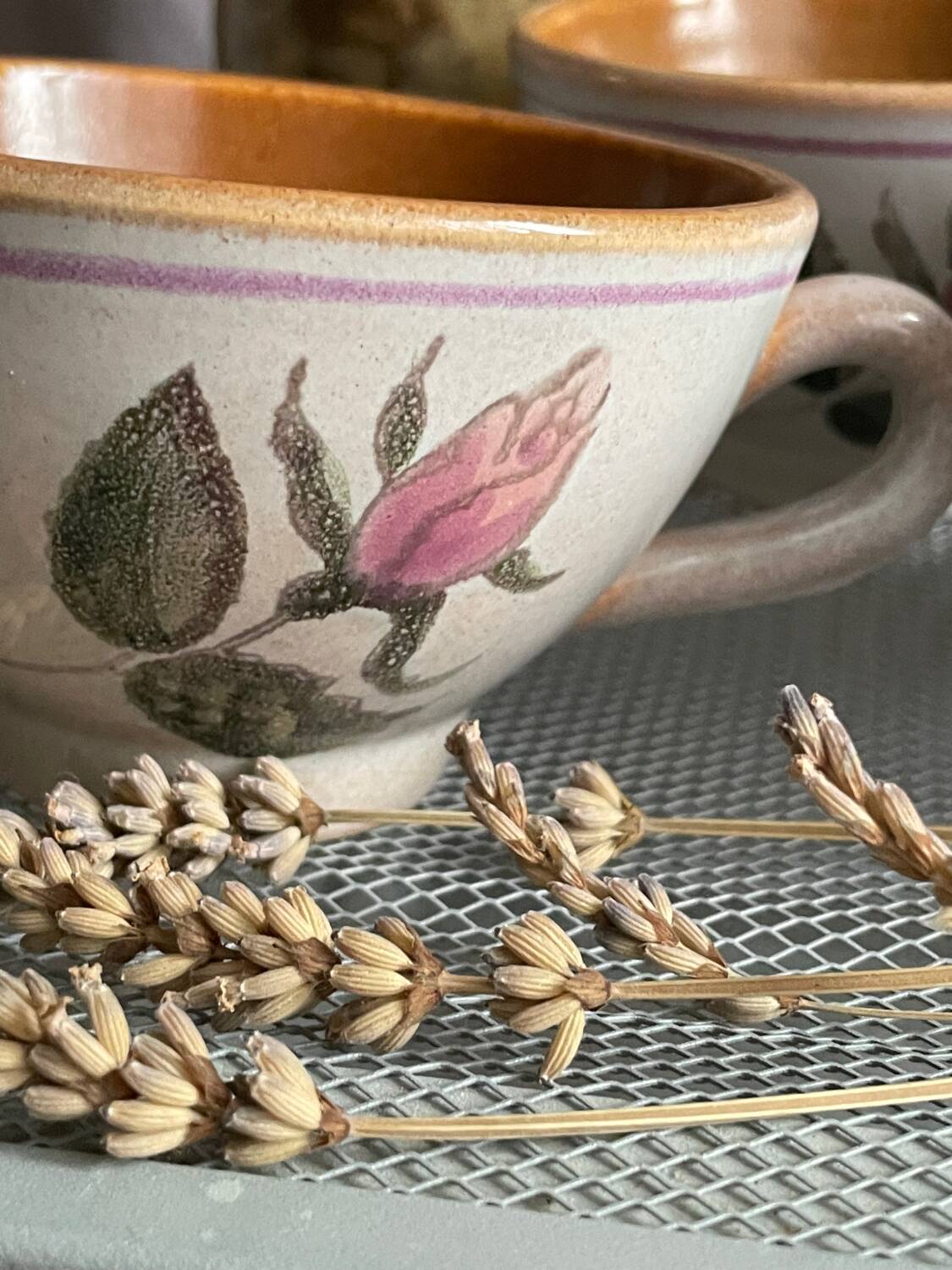 Five cups mbfa, pornic.