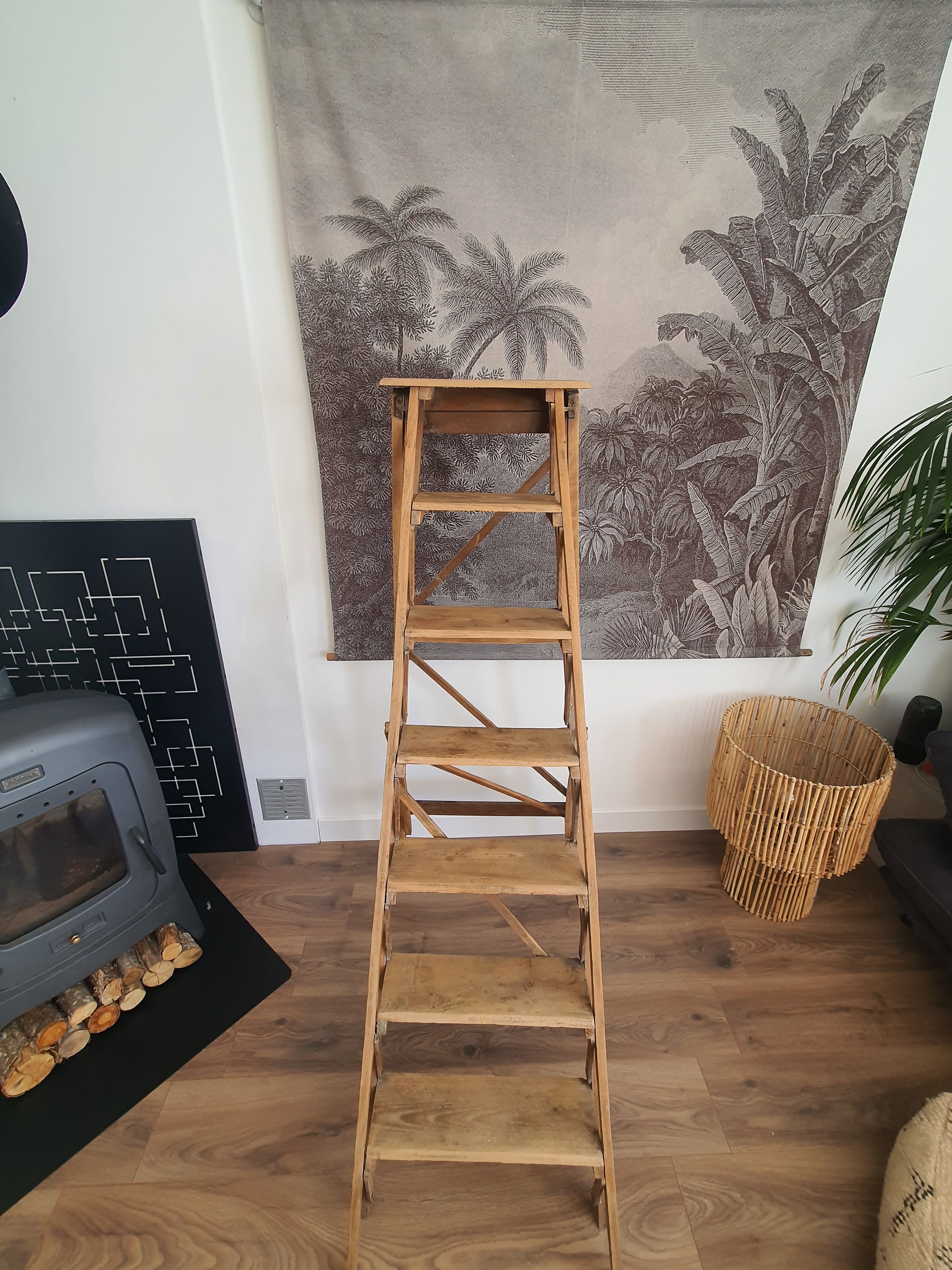 Old painter's stepladder