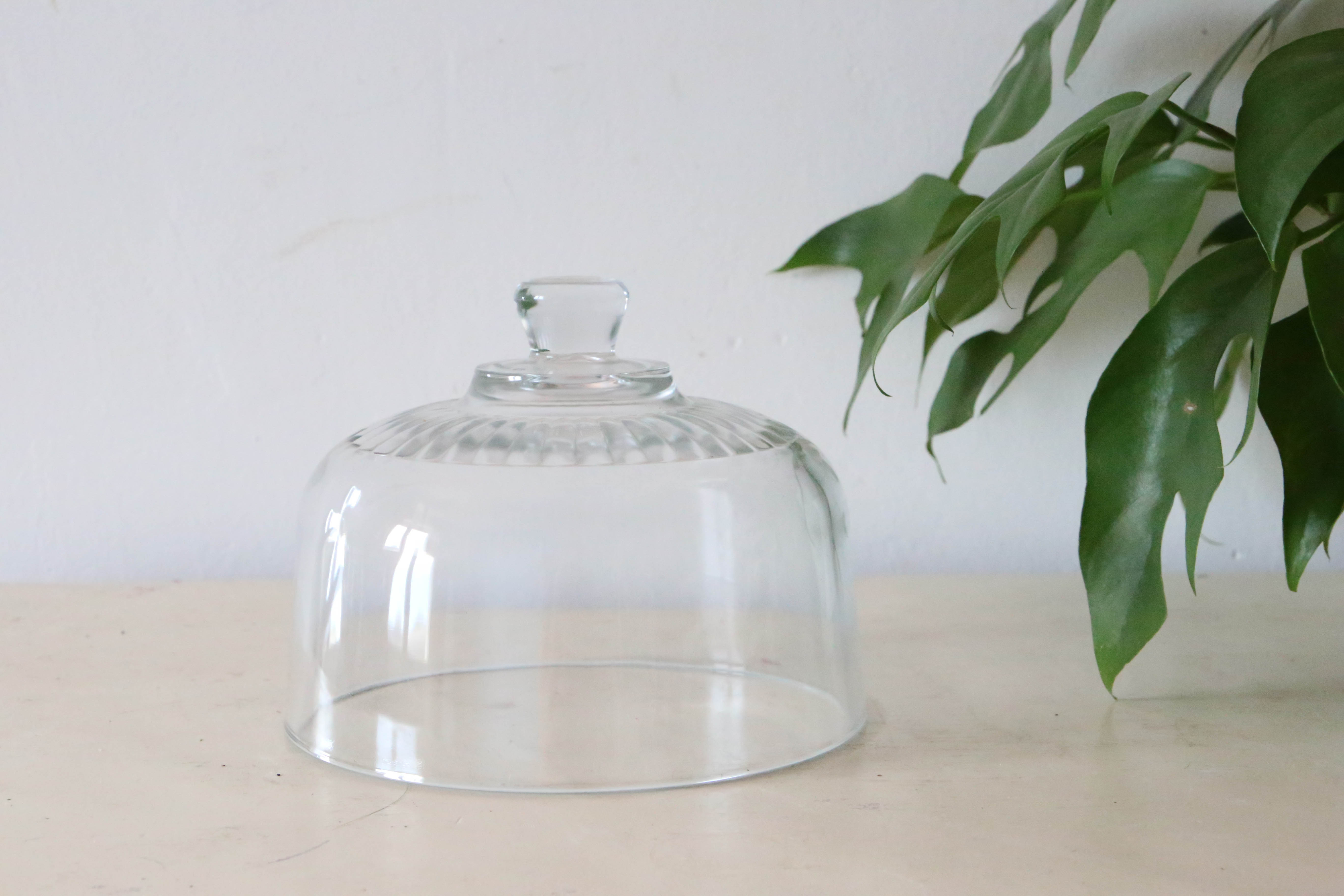 Glass cheese bell, vintage