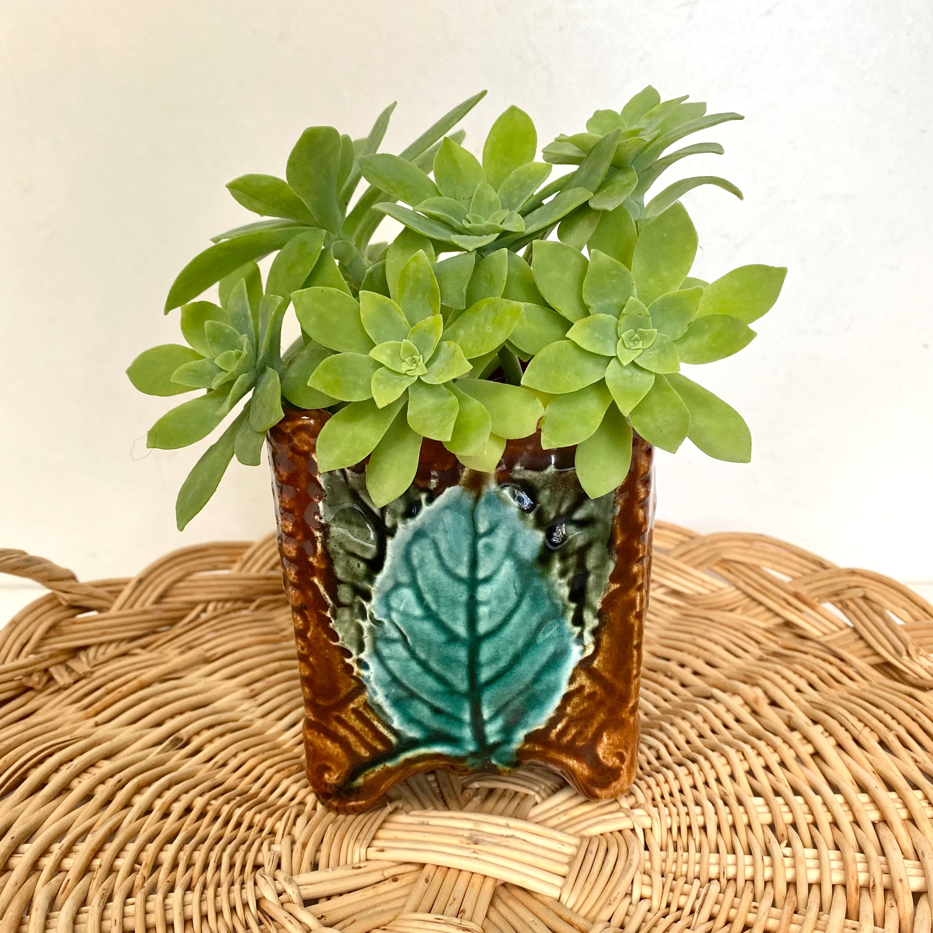 Ceramic pot cover