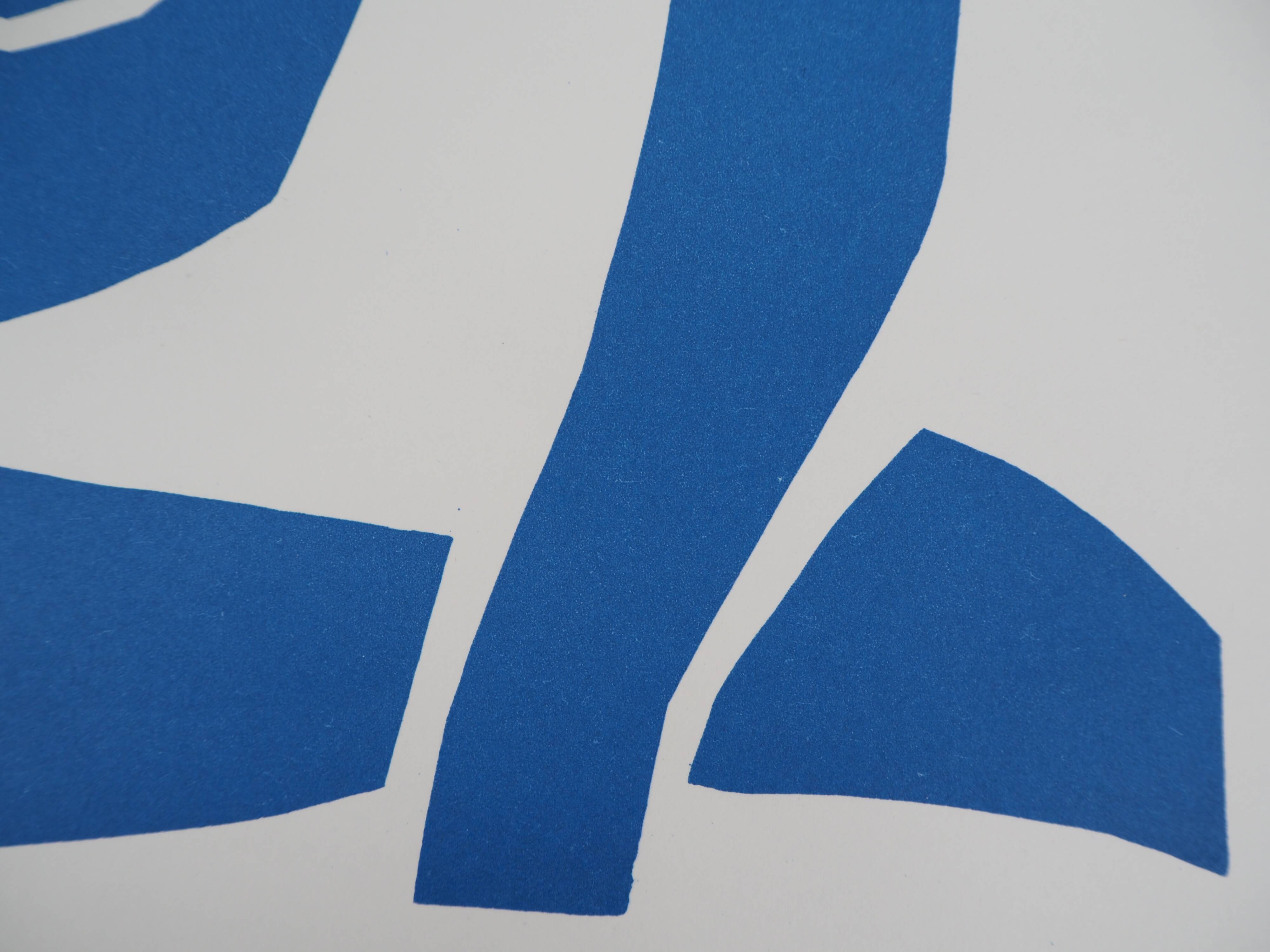 Henri matisse - nu bleu gracieux - affiche originale vintage musée céret (1980)