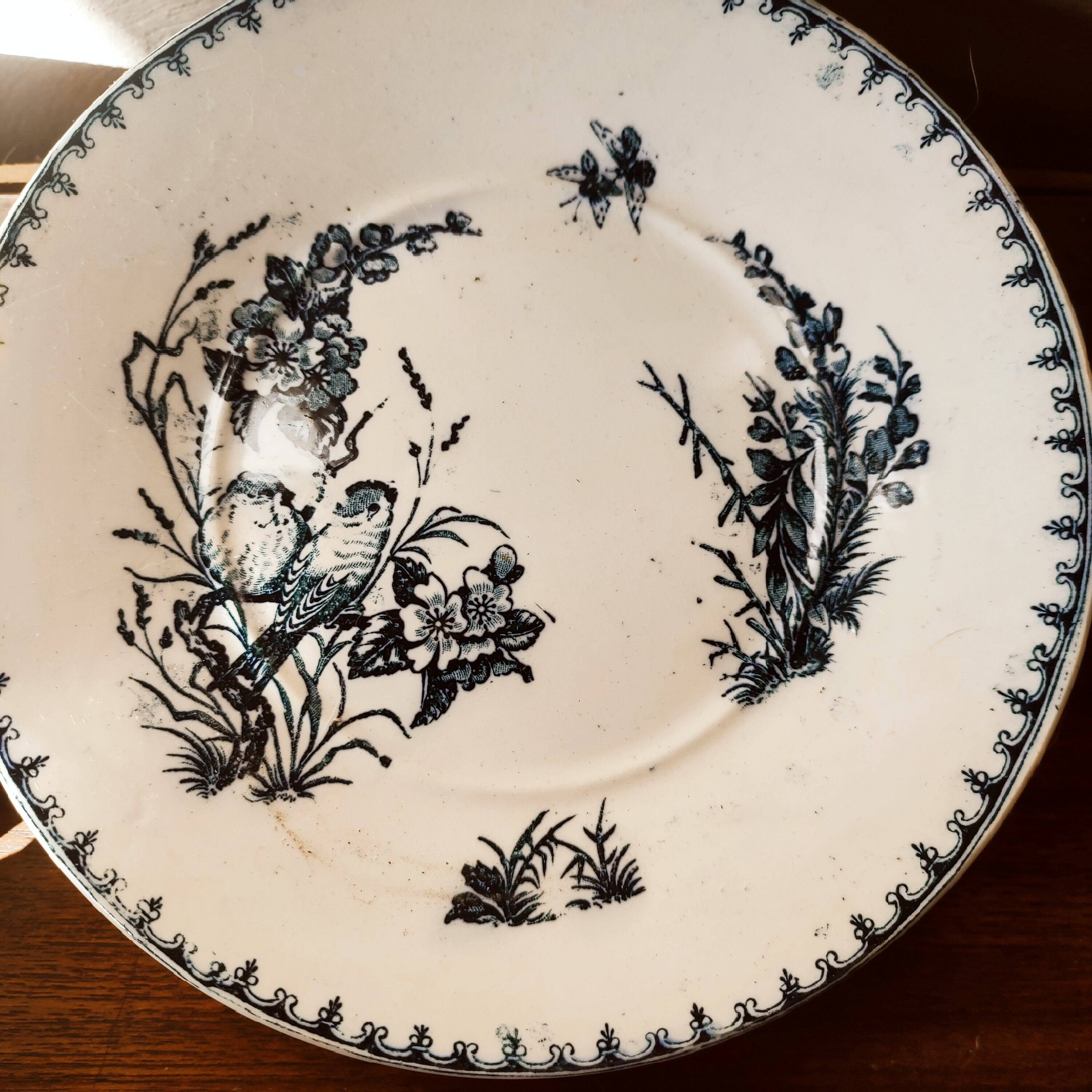 10 Lunéville earthenware plates, "Mésanges" pattern