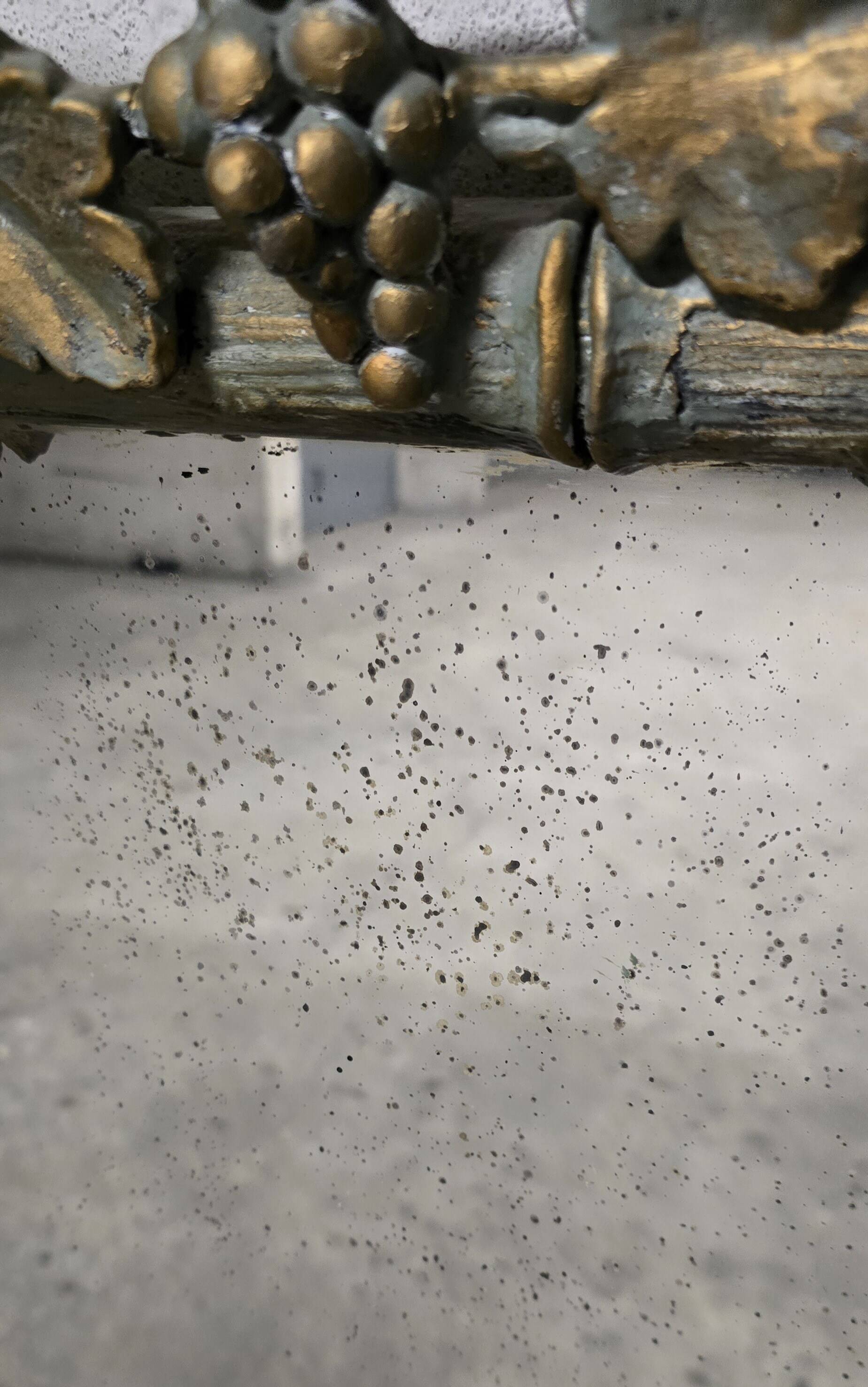 Large Wood and Patinated Stucco Mirror - Floral 1900s Period