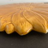 Underside Vallauris Aegitna, Saltalamacchia, sunflower model