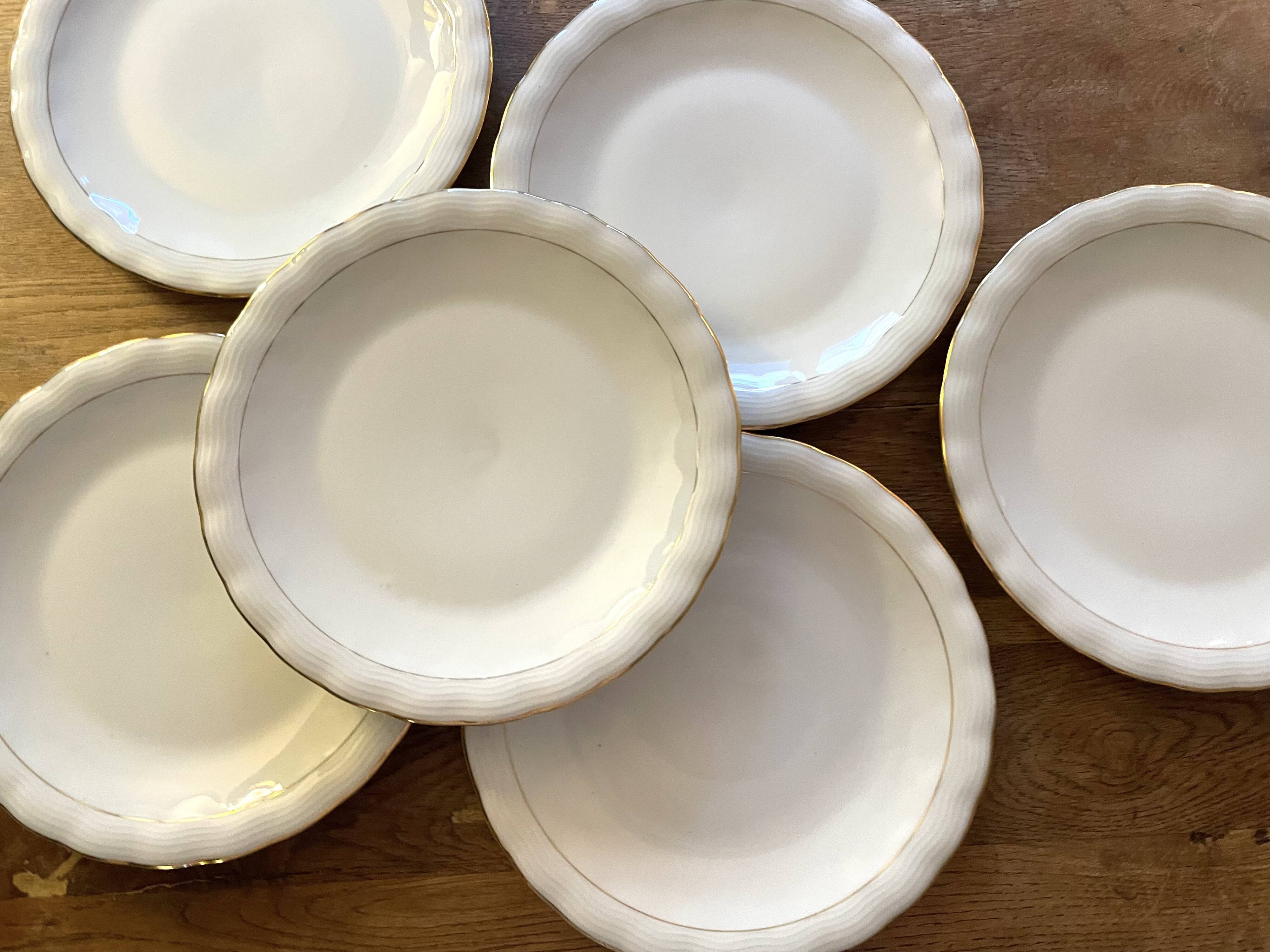 6 assiettes plates en porcelaine de Limoges signé P.Dessagne en très bon ét