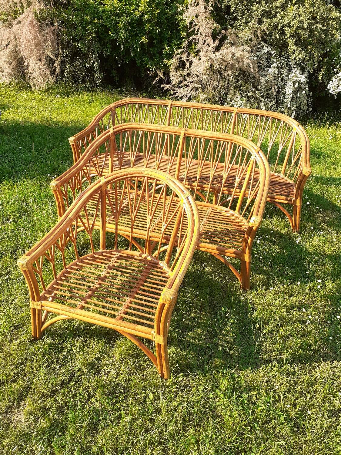 Rattan set