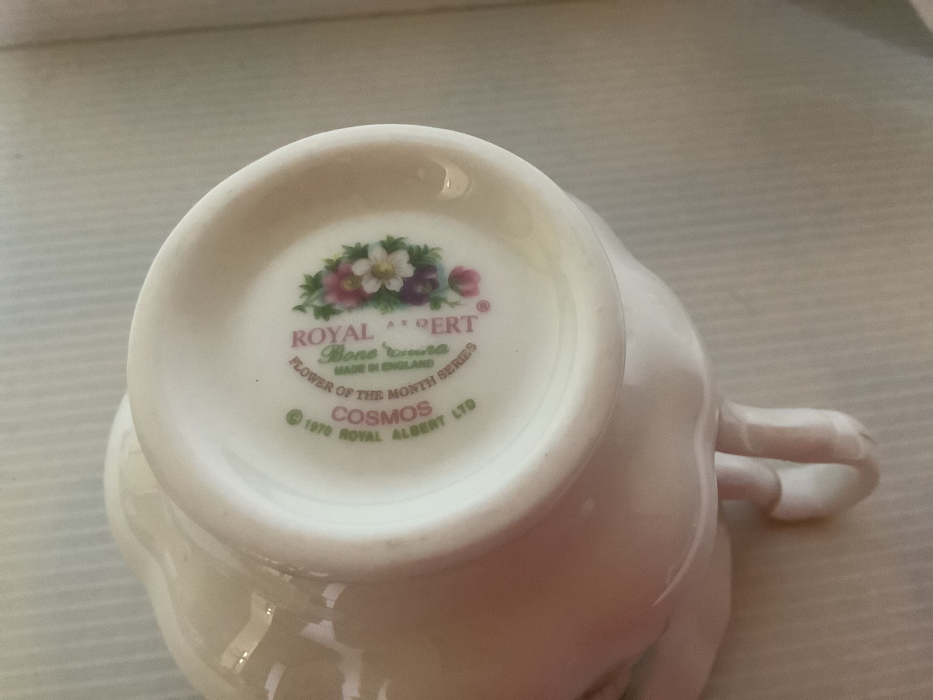 Cosmos Cup October Royal Albert