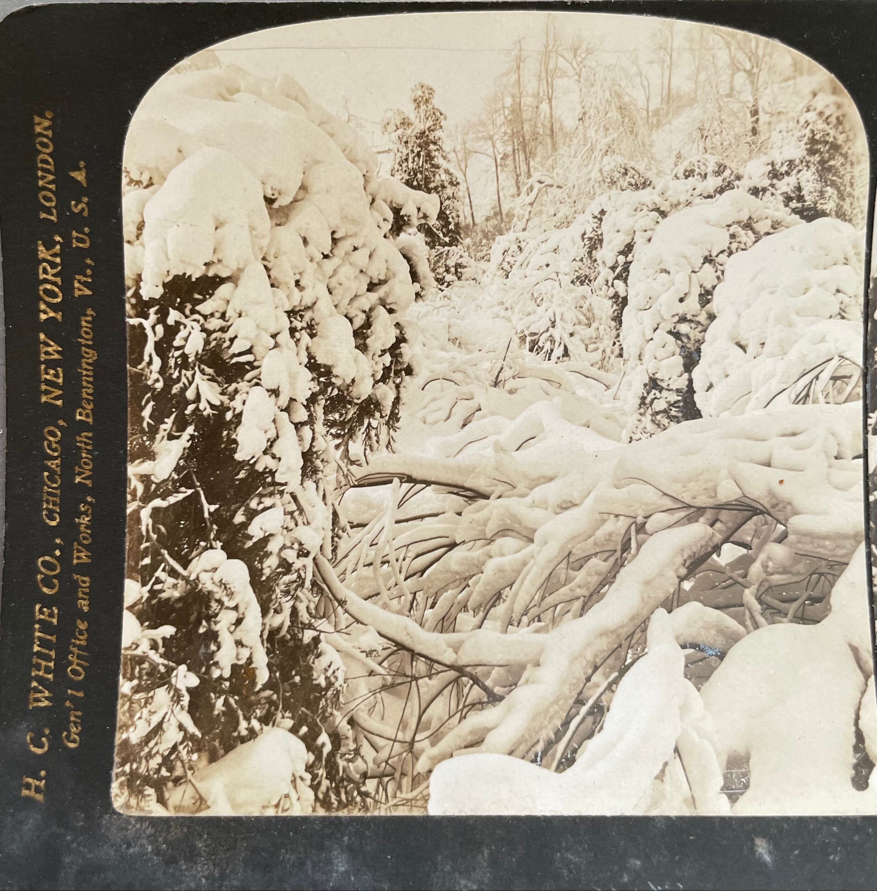 Antique photography, stereo, stereography, luxury albumine 1903 Ontario Canada