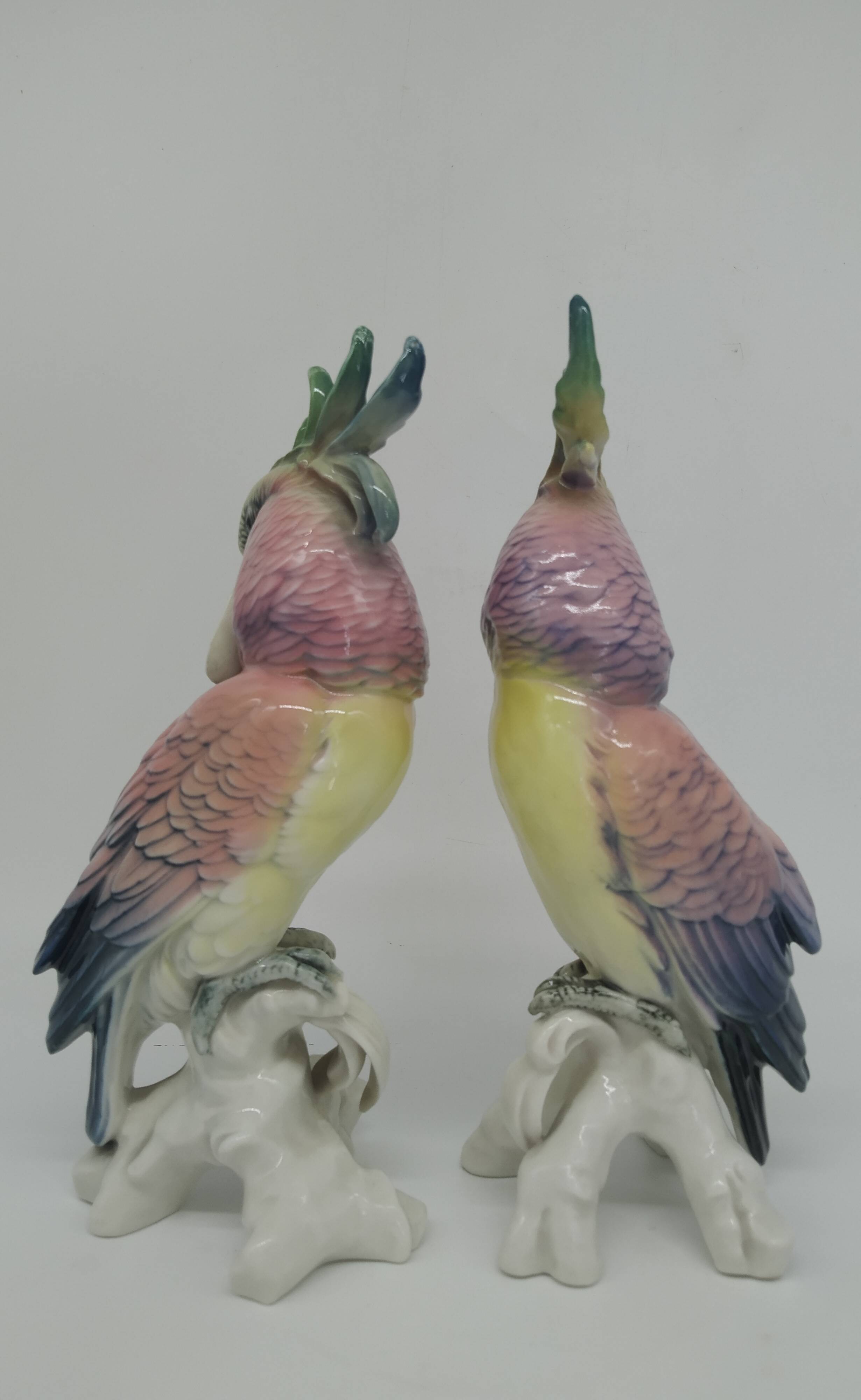 Couple of Cockatoos by Karl Ens