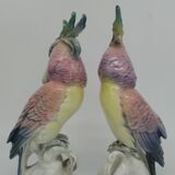 Couple of Cockatoos by Karl Ens