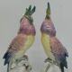 Couple de Cacatoes de Karl Ens