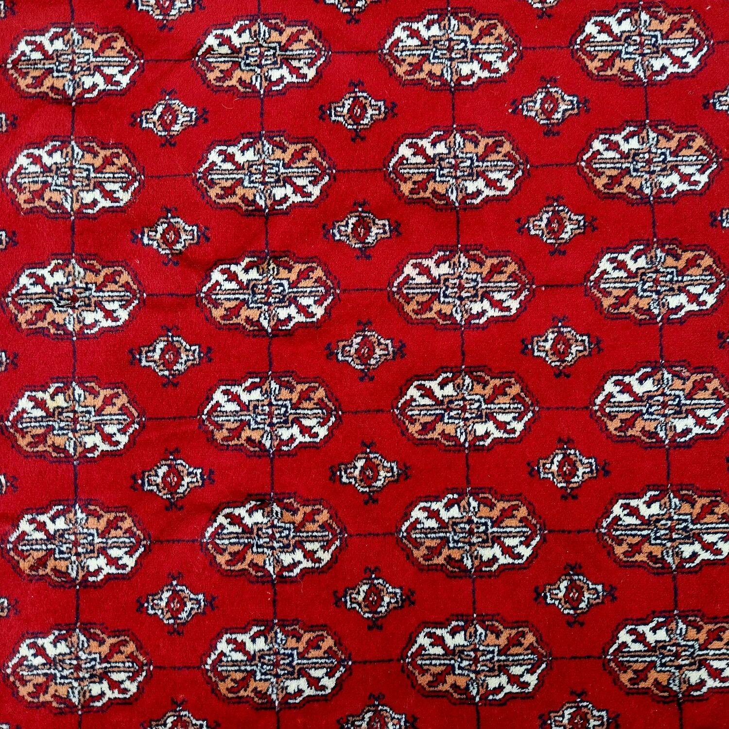 Large carpet Bukhara 310x230