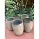 5 sandstone shooter glasses