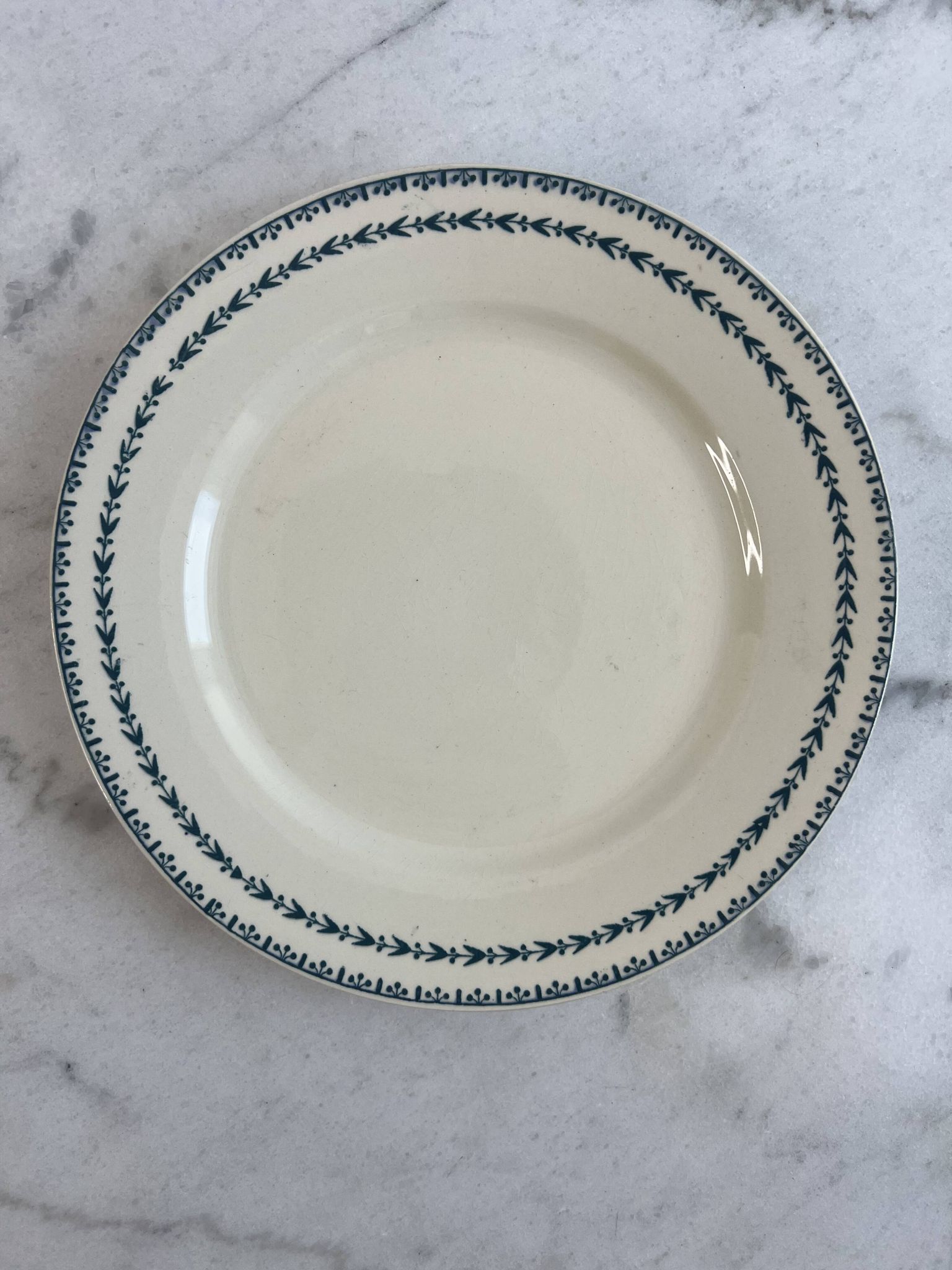 Terre de fer assiette plate Sarreguemines Carlos