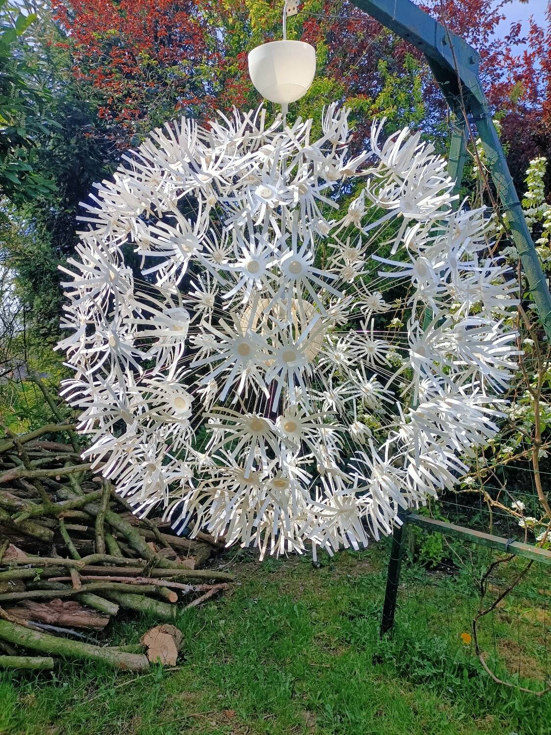 Dandelion pendant light