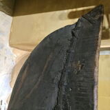 Canoe - pirogue