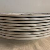 9 dessert plates old chickens, geese and pheasants blue field service Terre de Fer