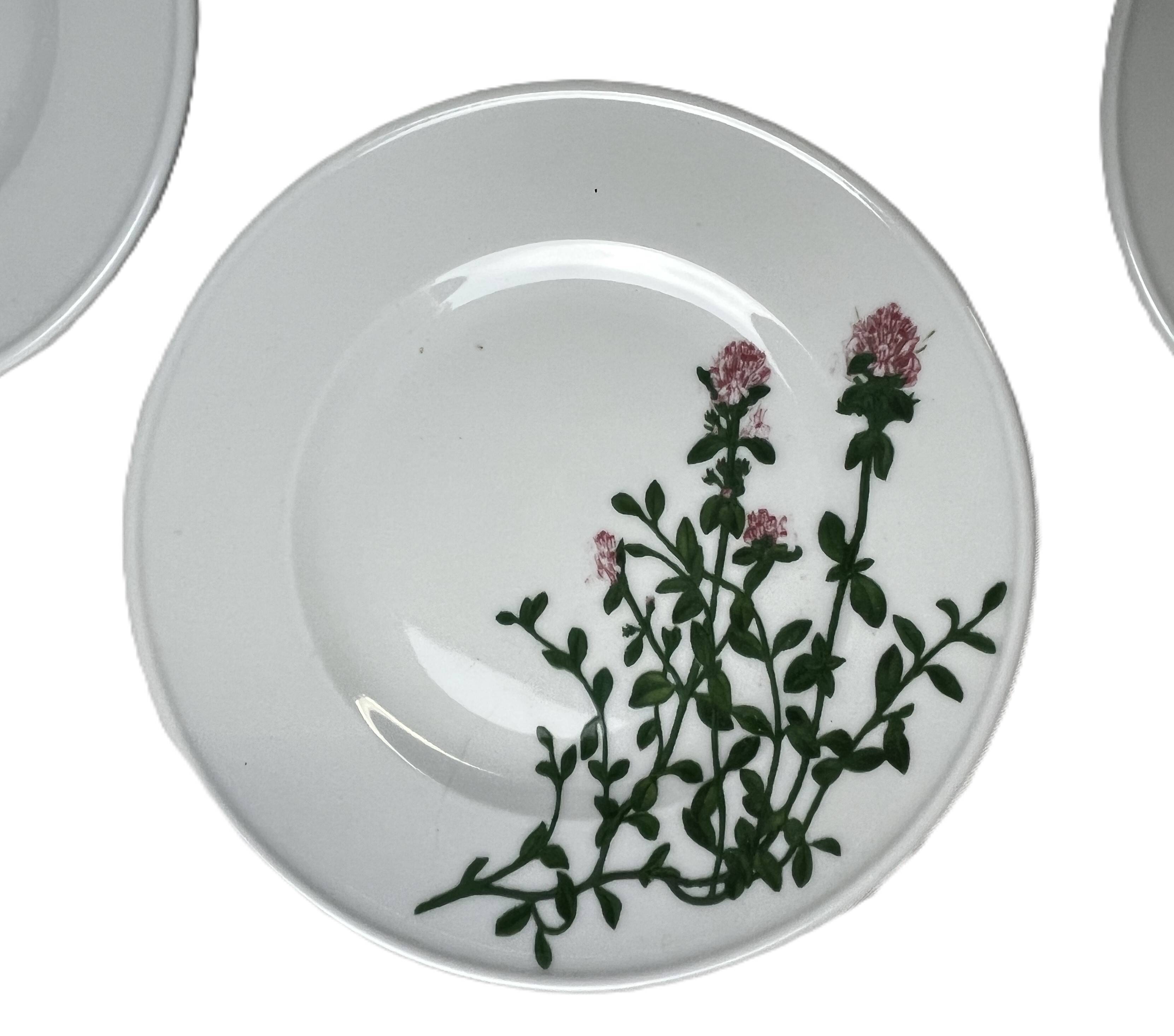 13-piece Dibbern Herbaticum porcelain dessert set circa 1980