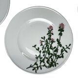 13-piece Dibbern Herbaticum porcelain dessert set circa 1980